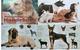 Libro con ilustraciones a color de diferentes razas de perro